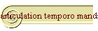 articulation temporo mandibulaire
