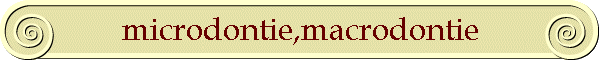 microdontie,macrodontie