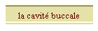 la cavit buccale