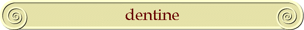 dentine
