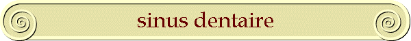 sinus dentaire