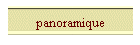 panoramique